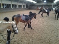 /album/the-best-pony/camera-marjan-1247-jpg/